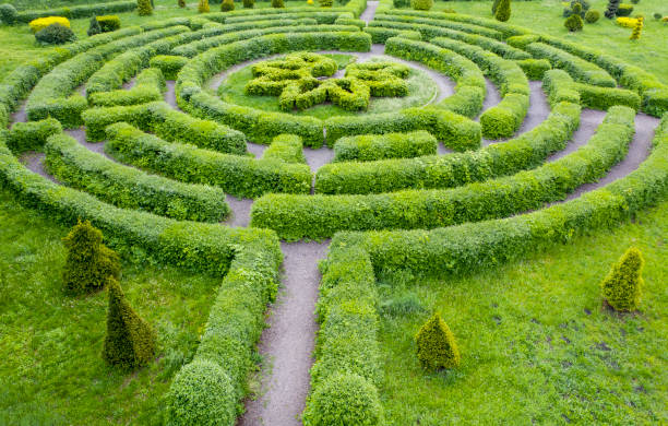 istock Topiary garden in the shape of a labyrinth. 1336131118