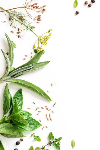 istock Various herbs and spices on a white background 1336132390