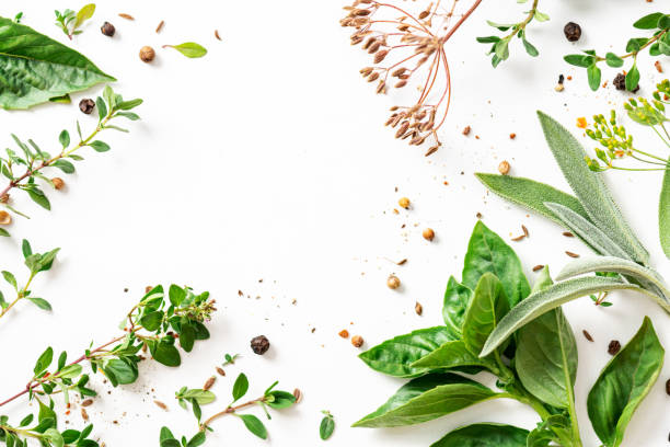 istock Various herbs and spices on a white background 1336133063