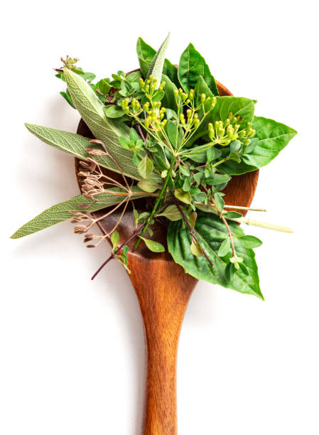 istock Bunch of herbs for cooking 1336133110