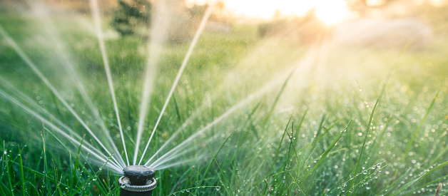 The nozzle of the automatic watering system waters a green lawn.