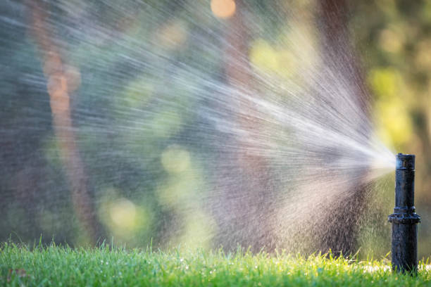 nozzle automatic lawn watering macro close up - commercial sprinkler system imagens e fotografias de stock