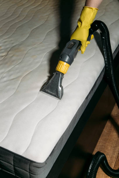 istock cleaning the mattress with a washing vacuum cleaner 1336138380