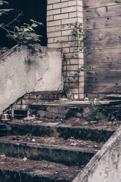 parcialmente borrados passos de concreto cinza de prédio abandonado arruinado coberto com musgo e galhos verdes. vertical - basement staircase old steps - fotografias e filmes do acervo