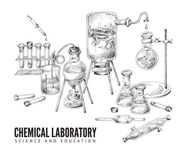 ilustrações de stock, clip art, desenhos animados e ícones de vector sketch background with equipment and glassware for chemical scientific or educational laboratory. hand drawn medical and biological instruments isolated on white background. - laboratory equipment illustrations