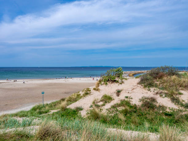 istock Sand Dunes and Beach at Hornbaek, Denmark, Scandinavia 1336142576