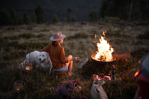 Young woman enjoys bonfire sitting with a dog at picnic in the mountains at dusk. Solitude in nature and travel in the mountains concept