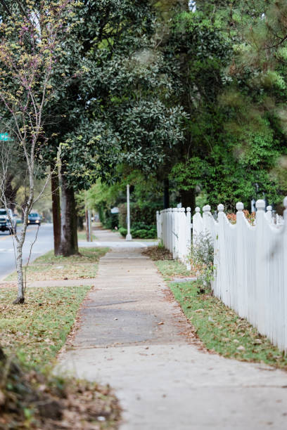 istock An idyllic sidewalk landscape with green trees blooming in the spring. 1336143223
