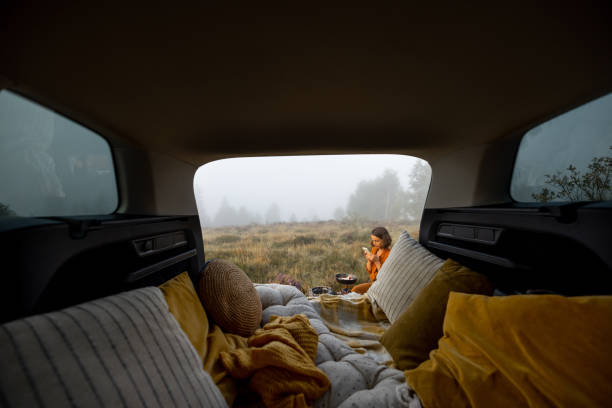 istock Woman treveler has a picnic while travel by car 1336143498