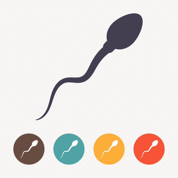 Sperm icon on dot pattern background Sperm icon on dot pattern background sperm stock illustrations