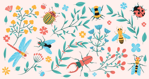 ilustraciones, imágenes clip art, dibujos animados e iconos de stock de insectos de prado y ramas florales ilustración plana de moda. - insecto