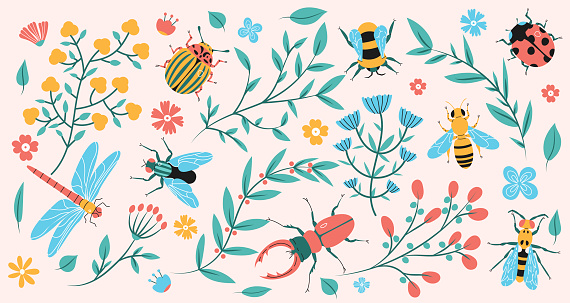 Beetles, flowers and leaves banner design. Summer, spring wildlife background.