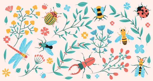Vector illustration of Meadow insects and floral branches trendy flat illustration.