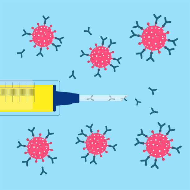 Antibodies attacking the virus Syringe with vaccine injecting antibodies. Antibodies destroying and inhibiting viruses. viral antigen stock illustrations