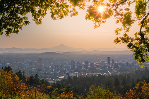 Portland Oregon Downtown in distance and Mt Hood with sunshine behind autumn foliage