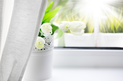 Bouquet of tulips in white vase on windowsill