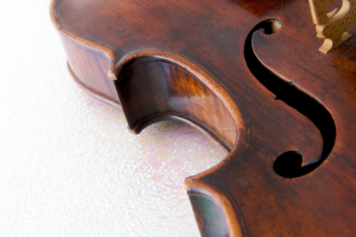 Detail of musical instrument of the violin family.