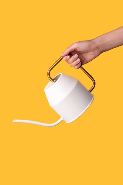 istock Female hand holding watering can pot 1336159052