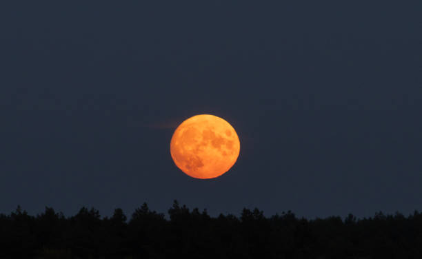 istock full red moon rose over the forest 1336159306