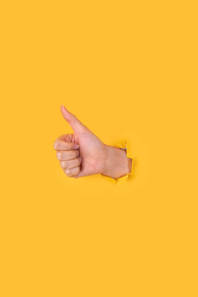 istock Female hand shows like sign 1336160344
