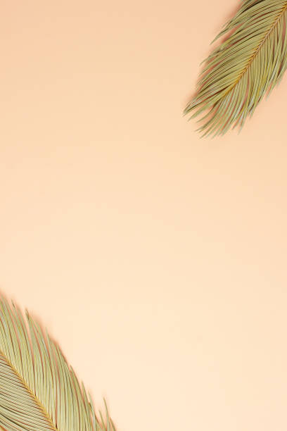 istock Tropical background with palm leaf on pastel beige. Flat lay, copy space 1336160803