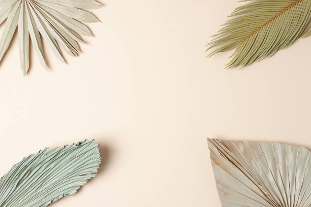istock Tropical background with palm leaf on pastel beige. Flat lay, copy space 1336160807