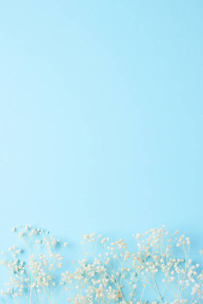 istock Cosmetic background with flowers on blue. Flat lay, copy space 1336160815