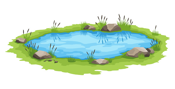 Picturesque natural pond. Concept of open small swamp lake. Water pond with reeds. Natural countryside landscape. Multicolour game scene.
