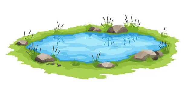 Vector illustration of Picturesque natural pond. Concept of open small swamp lake. Water pond with reeds. Natural countryside landscape. Multicolour game scene