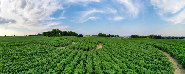 istock Farm at Highway 27 in the sunset, Cookstown, Canada 1336164121
