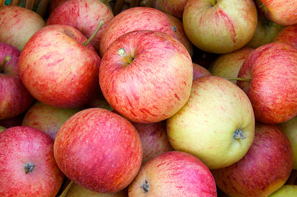 Harvest Close up of freshly picked apples, orchards, Kent, England, UK. apple juice photos stock pictures, royalty-free photos & images