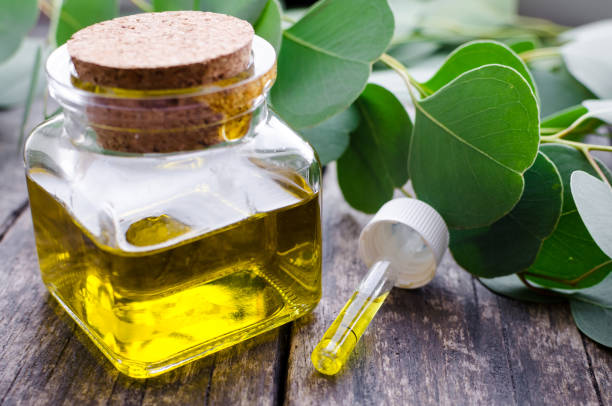 istock Eucalyptus essential oils in glass bottle 1336165466