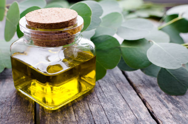 istock Eucalyptus essential oils in glass bottle 1336165470