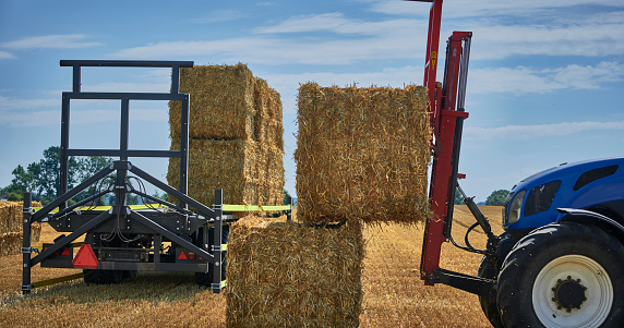 Big straw bales in a field. Tractor loading straw bales. Agriculture