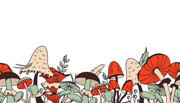 Hand-drawn vector seamless border with mushrooms in orange, beige, brown and green on a white background Hand-drawn vector seamless border with mushrooms in orange, beige, brown and green on a white background. Illustration in retro and cottage-core style with plants of the autumn forest. cottagecore stock illustrations