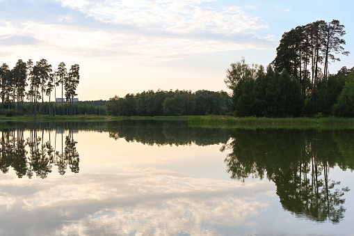 The lake, shore, grass and water surface at sunset surrounded by a dense green forest. Lake Lebyazhye, Kazan. Summer landscape.