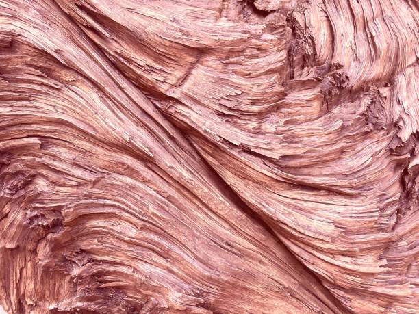 Wooden background and texture. Beautiful solid wood timber backdrop.