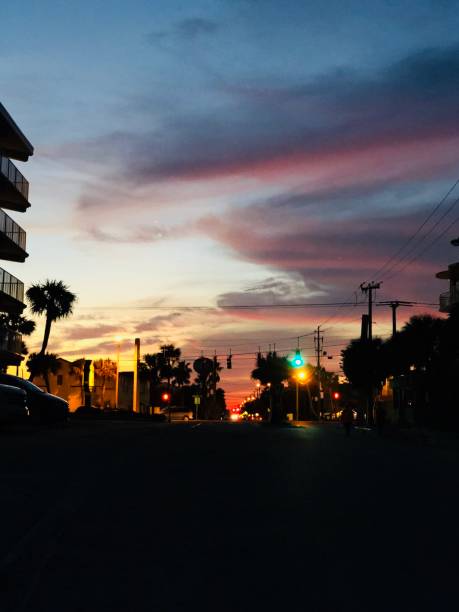 istock Miami Sunset City Palm trees 1336169040