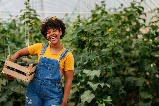 istock Black young woman working on her self owned farm 1336169225