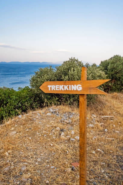 istock green nature and sportive trekking paths 1336169264