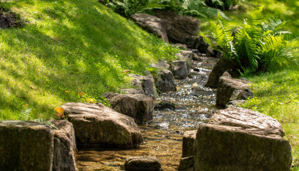 istock Little creek between rocks and gras 1336175823