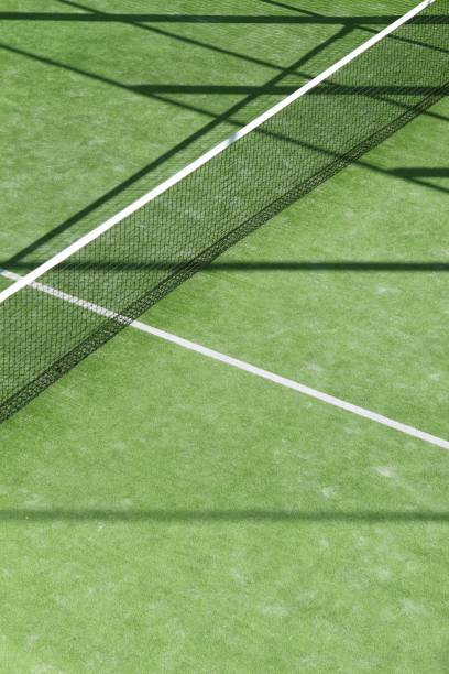istock paddle tennis green grass field texture white lines 1336177263