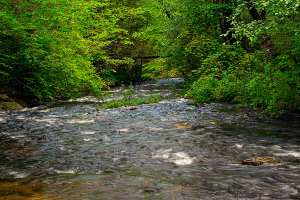 istock willard brook  after tropical storm henri 1336177265