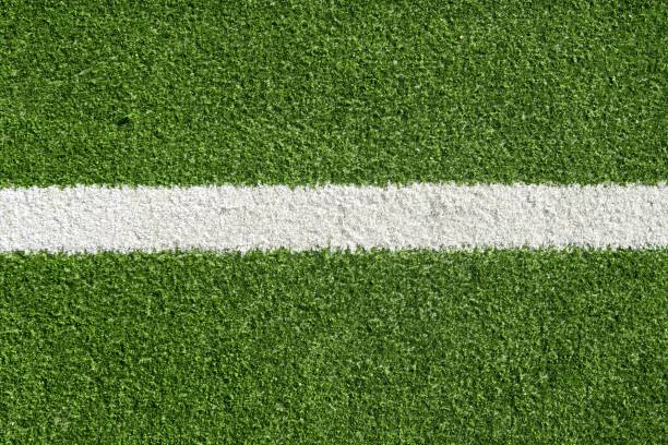 istock paddle tennis green grass field texture white lines 1336177277