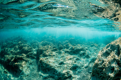 Colorful, picturesque coral reef at bottom of tropical sea, hard corals with Anthias fishes, air bubbles in the water, underwater landscape