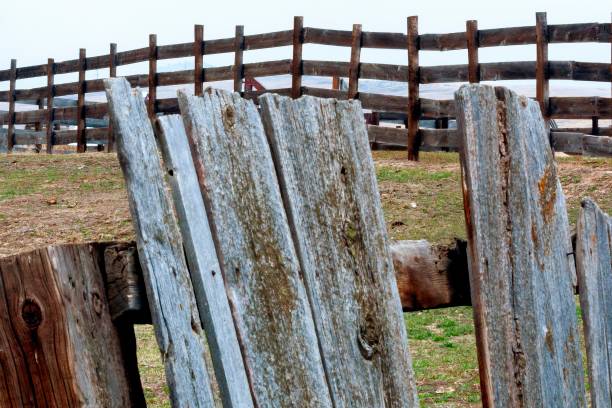 istock Wood Posts and Rails 1336179386