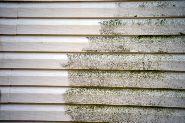 Before and after mold removal on vinyl siding A close up look at the exterior wall of a residence where mold is being cleaned off from the vinyl siding. mildew stock pictures, royalty-free photos & images