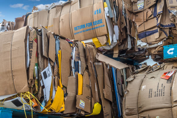 재활용 수명 - recycling paper garbage recycling center 뉴스 사진 이미지