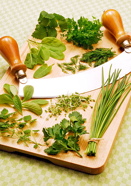 świeże zioła - parsley chive sorrel borage zdjęcia i obrazy z banku zdjęć