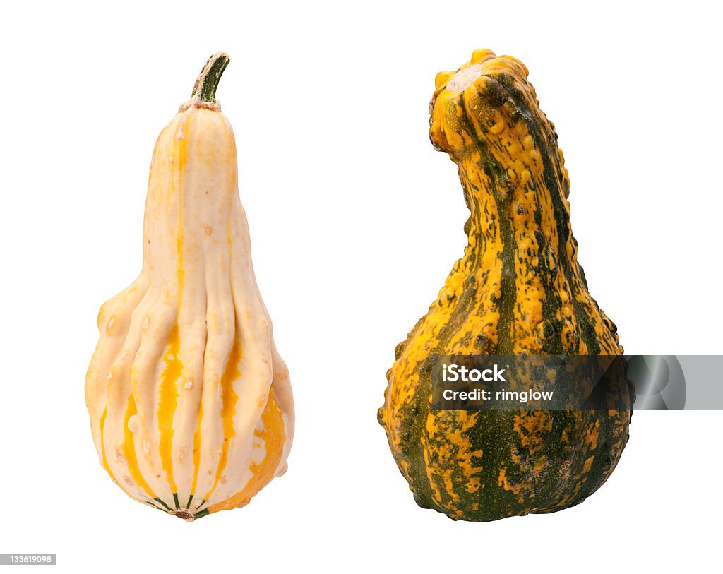 Красочный Осенний Gourds изолированные с Обтравка - Стоковые фото Без людей роялти-фри